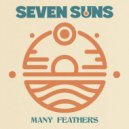 Seven Suns - Dust ()