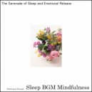 Sleep BGM Mindfulness - From Stress Relief to the Sound of Peace (Original Mix)
