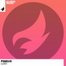 Pinkus - Lost (Original Mix)