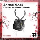 James Gatz - I Just Wanna Know (Original Mix)
