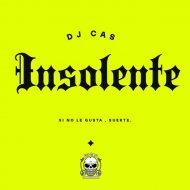 DJ CAS - DISCO MELO