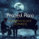 Pharrell Lanscilo Willy - Moonlight Sonata