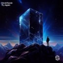 David Surok - Try Again (Original Mix)