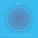 Luciano Amaya - I Am Having Fun (Original Mix)