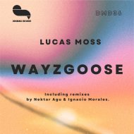 Lucas Moss - Wayzgoose