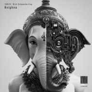 Nick Schwenderling, SHAZZE - Avighna