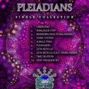 Pleiadians - Boarding Pass To Balangan