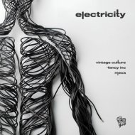 Vintage Culture, Fancy Inc & Meca - Electricity