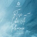 Steve Allen - Rise Like A Phoenix (Original Mix)