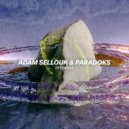 Adam Sellouk, Paradoks - Internal