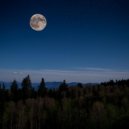 Vibraciones perezosas & Melodía de descanso & Armonía Nocturna - Melodías Suaves Para Dormir