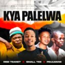 Rise Teanet & Small Tee feat. Peulwane - Kya Palelwa