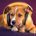 Still Dreams & Dog Calming Music Radio & Dog Calming Music Retro - Peaceful Paws Melodies