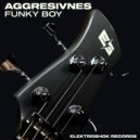 Aggresivnes - Funky Boy (Original Mix)