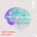 Moe Turk, Shyam P - Can\'t Forget You (Radio Mix)