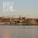 Beach Fly & Man of the Forests - Breaking News ()