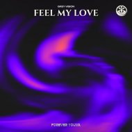 Grey Vision - Feel My Love