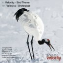 Velocity - Underpass
