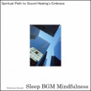 Sleep BGM Mindfulness - Mystical Journey with Astral Projection and Enchantment (Original Mix)