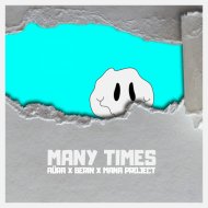 Berin, MANA Project - Many Times
