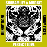 Sharam Jey & MODBIT - Perfect Love