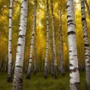 Edward Bai - Yellow Birch (progressive house mix)