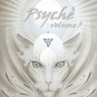 Massive Dynamic - Chamallows