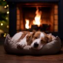 Sonidos de Bloqueo & Música para Dormir Perros & Radio Canina Relajante - Ritmos De Cachorros Juguetones