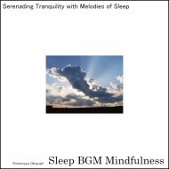 Sleep BGM Mindfulness - Soothing the Soul with Dreams of Deep Relaxation