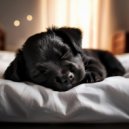 Esculturas sonoras colectivas & Musica-para-Relajar-Perros & Musicoterapia canina - Ritmos Del Día Del Perro