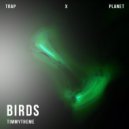 timmytheme - Birds (Ultra Sped Up Mix)