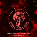 James Feel, Cxlxstical - Your Reason (Deep Melodies)