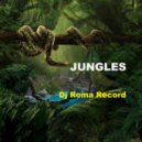 Dj Roma Record - Jungles 3