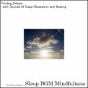 Sleep BGM Mindfulness - Reverberating Tranquility, Night\'s Healing Touch (Original Mix)