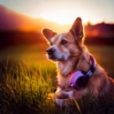 Binaural Best Organic & Calming Dog Music Playlists & Brilliant Relaxing Dog Music - Mellow Canine Chords ()