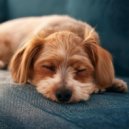 Albaricoque & Ansiedad De Los Perros & Bandas sonoras para perros durmiendo Deluxe - Movimiento Musical Sutil ()