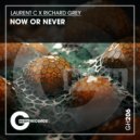 Richard Grey & Laurent C - Now Or Never (Original Mix)