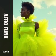 Funk Windows - Broken Funk