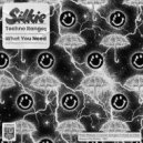 Silkie - What You Need (Original Mix)