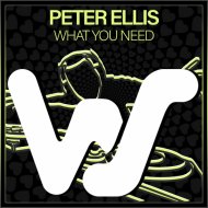 Peter Ellis - What You Need