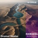 Hamaeel - Drumul Neales (The Path Not Taken)
