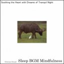 Sleep BGM Mindfulness - Healing Soundscapes Emerge, Easing the Strain of Mental Turmoil (Original Mix)
