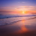 Guitar Player Institute & Hawaiian Steel Guitar & New York City Guitar Orchestra - In The Quiet Of The Stars ()