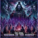 Fobiaz - Shaman Vision (Original Mix)
