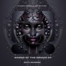 Art Of Zync, Stanny Abram - Voodoo Nation