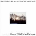 Sleep BGM Mindfulness - Guided to Restful Dreams by the Sounds of Neural Harmony (Original Mix)