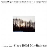 Sleep BGM Mindfulness - Soothing Dreams for Mental Wellness