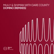 Mully, Shvman & Dare County - Domino