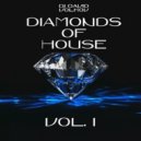Dj David Volkov - Diamonds of House Music 1.0