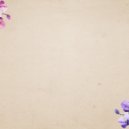 Osc Project - Orchid